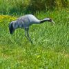 Ubbink Dierenfiguur Kraanvogel 72 Cm online kopen