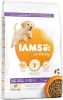 Iams 2x12kg for Vitality Dog Puppy & Junior Large Kip Hondenvoer online kopen