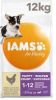 Iams 2x12kg for Vitality Dog Puppy & Junior Small/Medium Kip Hondenvoer online kopen