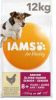 Iams 2x12kg for Vitality Dog Senior & Mature Small Medium Kip Hondenvoer online kopen