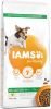 Iams for Vitality Adult Small & Medium Kip hondenvoer 12 + 3 kg gratis online kopen