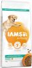 Iams for Vitality Adult Light in Fat hondenvoer 12 + 3 kg gratis online kopen