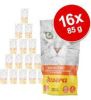 Josera 16x85g Goulash van Rund & Kip Pat&#xE9, Kattenvoer nat online kopen