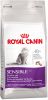 4 kg Royal Canin + 24 x 85 g Royal Canin in Saus Kattenvoer British Shorthair Adult + Intense Beauty in Saus online kopen