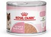 Royal Canin Mother & Babycat Mousse 12 x 195 g online kopen