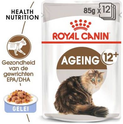 Royal Canin Ageing 12+ nat kattenvoer 12 zakjes 2x in Gelei(24x85 gr ) online kopen