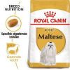 Royal Canin Breed 3x1, 5kg Maltese Adult Hondenvoer online kopen