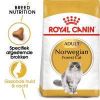 Royal Canin Norwegian Forest Cat Adult Kattenvoer 10 kg online kopen