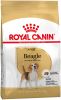 Royal Canin Beagle Adult Hondenvoer Dubbelpak 2 x 12 kg online kopen