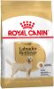 Royal Canin Labrador Retriever Adult Hondenvoer Bestel ook natvoer 10 x 140 g Royal Canin Labrador Retriever Adult online kopen