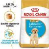 Royal Canin Breed 2x12kg Labrador Retriever Puppy Hondenvoer online kopen
