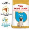 Royal Canin Puppy Pug(Mopshond)hondenvoer 2 x 1, 5 kg online kopen