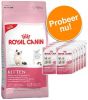 Royal Canin Kattenvoer Kitten Proefpakket British Shorthair Kitten t/m 12 Maanden(2 kg)+ 12 x 85 g natvoer online kopen