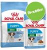 Gemengd pakket Royal Canin Mini droog & natvoer Ageing 12+(2 x 3, 5 kg)+ Ageing(12 x 85 g ) online kopen
